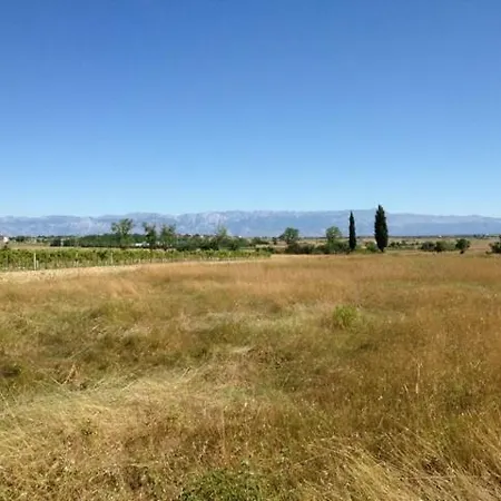 Mate 2