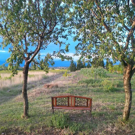 Apartman Mate 2 Donji Zemunik