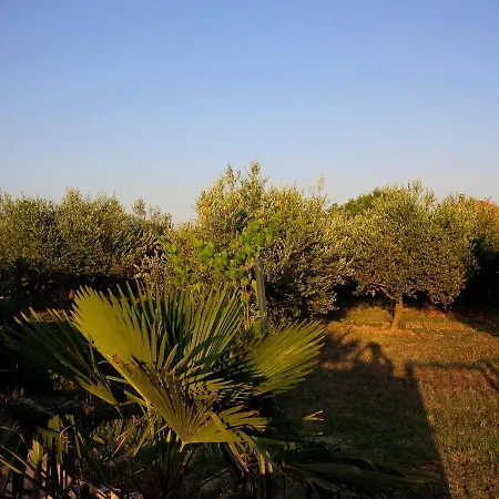 Mate 2 Apartman Donji Zemunik